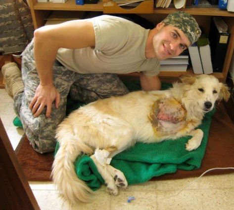 Have you wondered about what it would be like to be a veterinarian in the Army? If so, I think you’ll enjoy this first part in a series on my experiences as an Army veterinarian. Related Veterinarian Career, Veterinarians Medicine, Becoming A Veterinarian, Veterinary School, Unique Jobs, Vet Medicine, Military Working Dogs, Army Reserve, Vet School