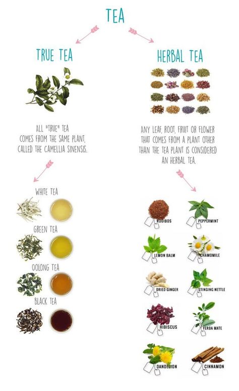 Guide To Tea, Tea Infographic, Tea Blends Recipes, Green Tea Lemon, Health Facts Food, Plant Varieties, Herbal Teas Recipes, Tea Plant, Tea Health Benefits