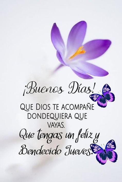 Imagen de bendecido jueves buenos días Spanish Greetings, Good Morning Happy Monday, Good Morning Inspiration, Pink Nature, Love You Gif, Happy Week, Spanish Inspirational Quotes, Cute Good Morning Quotes, Morning Inspiration