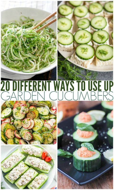 20 Different Ways To Use Up Garden Cucumbers What To Make With Cucumbers From The Garden, Cucumber Snacks Easy, Things To Do With Extra Cucumbers, Recipes To Use Up Cucumbers, Unique Cucumber Recipes, Ways To Use Up Cucumbers, Using Up Cucumbers, Picking Cucumber Recipes, Lots Of Cucumbers