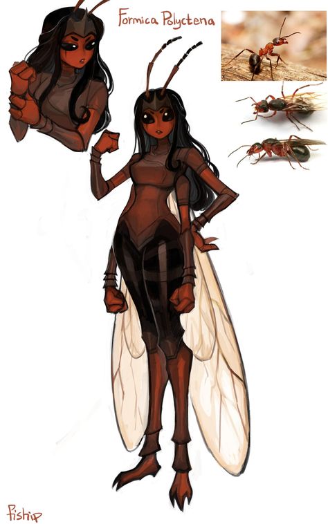 Bug Characters Design, Female Insectoid, Fantasy Bug People, Bug Inspired Ocs, Dnd Insect Race, Insect Hybrid Art, Bug People Art, Bugs As Humans, Insect Character Art