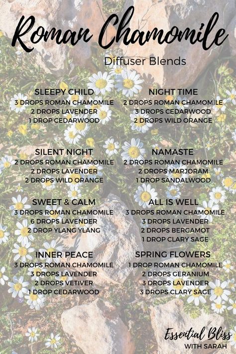 Essential Oil Recipes Chamomile, Roman Chamomile Diffuser Blends, Roman Camomile, Perfume Diy, Sleeping Essential Oil Blends, Roman Chamomile Essential Oil, Zen Vibes, Doterra Diffuser, Essential Oil Combinations