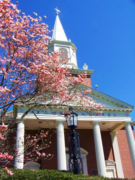 Bucknell University Aesthetic, Bucknell University, University Aesthetic, Shin Splints, Dream School, Wake Forest, Gym Flooring, Modern Dance, School Fun