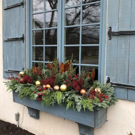 9 Winter Window Box Ideas Winter Window Box Ideas, Window Box Ideas, Winter Window Boxes, Christmas Window Boxes, Window Box Plants, Red Twig Dogwood, Faux Christmas Trees, Winter Planter, Snowy Christmas Tree