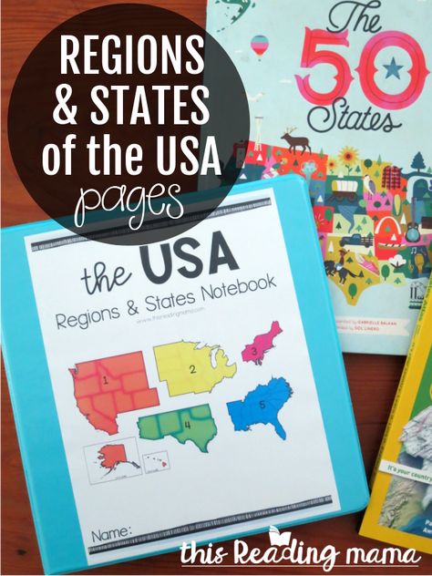 50 States Activities, Highschool Classroom, Home School Room Ideas, Geography Printables, Geography Homeschool, Road Trip Theme, Usa School, Learning States, United States Regions