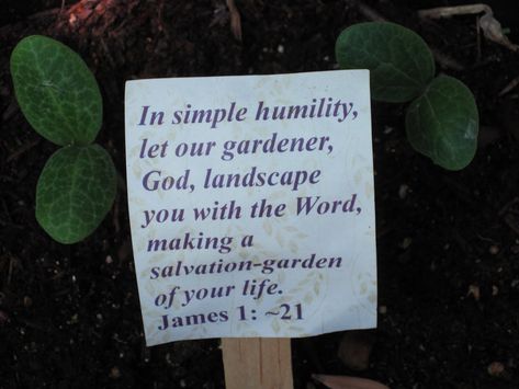 Eyes On Christ: Garden-Related Bible Verses Garden Bible Verses, Garden Verses, Gardening Quotes Inspirational, Bible Garden, Painted Benches, Inspiring Sayings, Prayer Garden, Seed Box, Search History