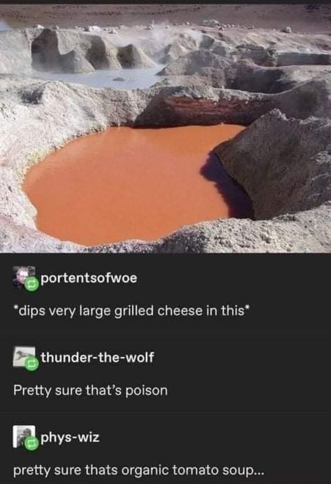 Forbidden Snacks, Tumblr Memes, Food Memes, Tasty Food, What’s Going On, Tumblr Funny, Tumblr Posts, Funny Posts, Funny Cute