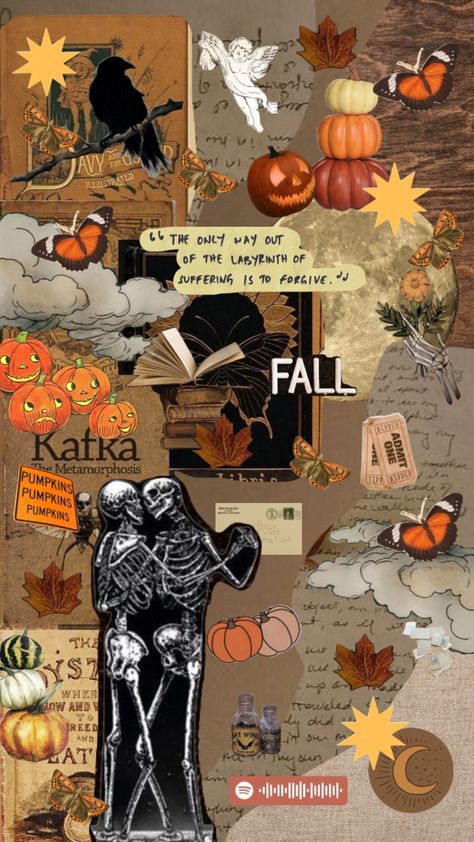 #fallinspo #autumncollage #orange #pumpkins #skelleton #collage Fall Inspo, Art Plastique, Connect With People, Your Aesthetic, Creative Energy, Pumpkins, Comic Books, Comic Book Cover, Energy