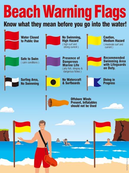 Bondi Rescue, Beach Safety, Surfing Tips, Beach Flags, Beach Lifeguard, Camping Safety, Orange Beach Alabama, Survival Quotes, Safety Posters