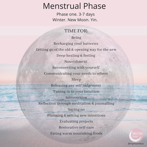 First Day Of Period, Menstrual Yoga, Menstrual Phase, Menstrual Cycle Phases, Menstrual Relief, Period Cycle, The Menstrual Cycle, Period Humor, Healthy Hormones