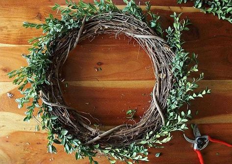 How to Make a Boxwood Wreath - first circle. Branch Wreath, Greenery Decor, Boxwood Wreath, Floral Wire, Grapevine Wreath, Grape Vines, Diy And Crafts, Christmas Wreaths, Glue