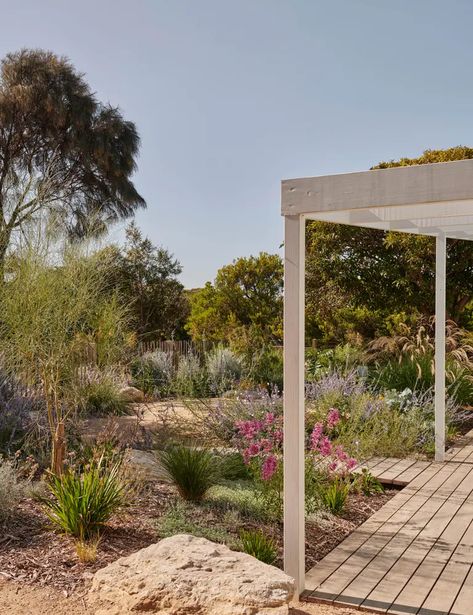 The Magical Coastal Garden Designed Around Lucy’s Beach Shack Beach House Garden, Australian Garden Design, Contemporary Landscape Design, Coastal Garden, Australian Native Garden, Prairie Garden, Courtyard Gardens Design, Front Garden Design, Australian Garden