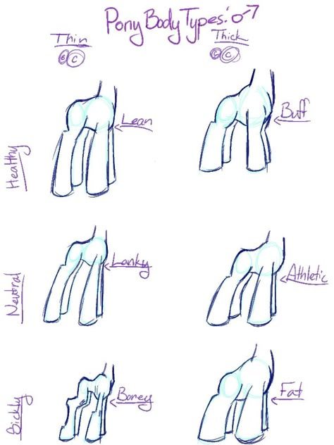 Sketch Proportions, Male Body Types, Female Body Types, Mlp Poses, Pony Reference, Mlp References, Creature Creation, Mlp Drawing, Pony Base