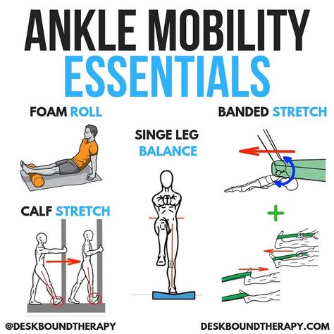 ANKLE MOBILITY ESSENTIALS by @deskboundtherapy · 💥Download my FREE Flexibility ebook (Link in bio)💥 · Ankle Mobility is essential for… Ankle Mobility Stretches, Ankle Mobility Exercises, Ankle Dorsiflexion, Ankle Workout, New To The Gym, Ankle Flexibility, Deadlift Squat, Ankle Stability, Warm Up Stretches