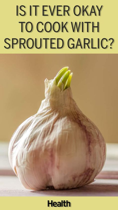 Is it safe to cook with sprouted garlic? Does a green sprout mean garlic is past its prime? Chefs weigh in on how that little sprout can affect the taste of a dish, and if you need to toss. Types Of Garlic, Garlic Sprouts, Cooking Mussels, Bday Food, Garlic Health, Cheesy Mashed Potatoes, Food Handling, Cooking With Olive Oil, Good Things To Know