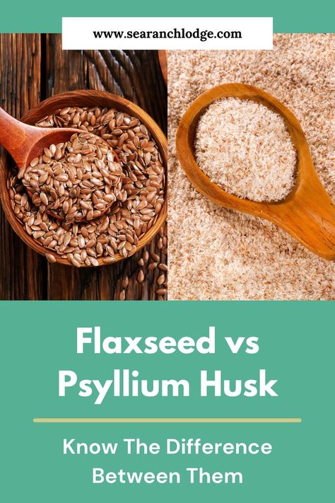 Flaxseed vs Psyllium Husk: Know The Difference Between Them | Healthy Living Tips | healthy food ideas | psyllium husk benefits | carbohydrates food list |  healthy carbohydrates Psyllium Husk, Psyllium Husk Benefits, Psyllium Husk Recipe, Fiber Benefits, Psyllium Husk Powder, Baking Soda Uses, Healthy Living Tips, Flax Seed, Baking Soda