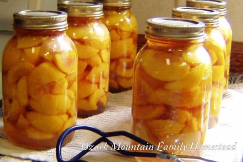 Ozark Mountain Family Homestead: Canning Peaches Canning Peaches Recipes, Preserve Peaches, Homestead Canning, Spiced Peaches, Canning Peaches, Canning Fruit, Family Homestead, Canning Food Preservation, Peach Syrup