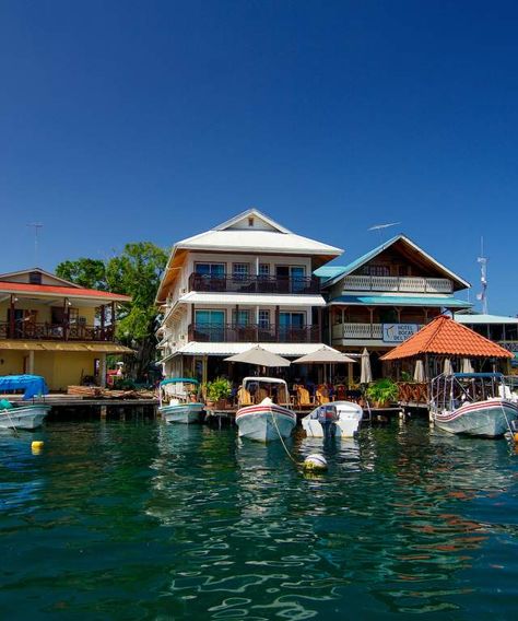 Things To Do in Bocas Del Toro Province | Isla Colon Bocas Town, Caribbean Culture, Marine Ecosystem, Caribbean Sea, Small Island, Panama City Panama, White Sand Beach, Archipelago, Beach Resorts