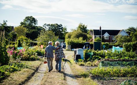 Naturally Occurring Retirement Communities: A Model for Aging in Place Case Western Reserve University, Aging In Place, Retirement Community, Change Management, Long Term Care, Estate Planning, Social Services, Transportation Services, A Way Of Life