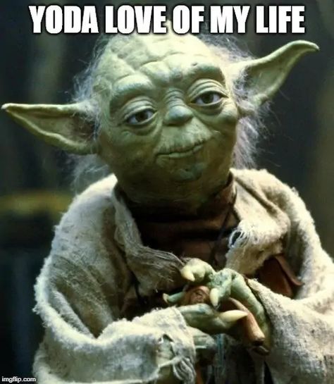 55+ Epic Star Wars Love Quotes that only geeks will understand. Perfect for Valentine's day, wedding, and anniversary cards. #starwarsquotes #starwarsart #lovequotes Yoda Quotes, Yoda Meme, Star Wars Meme, Yoda Star Wars, Master Yoda, Dark Vador, Fishing Quotes, Jedi Master, Travel Humor