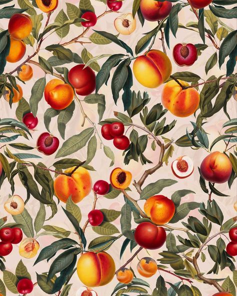 Burcu Korkmazyürek on Instagram: “Vintage Fruit Pattern XXIII 🍊🍑🍒@society6 . . . .…” Wallpaper Roller, Fruit Wallpaper, Vintage Fruit, Fruit Painting, Cool Products, Fruit Pattern, Fruit Art, Old Wallpaper, Perfect Wallpaper