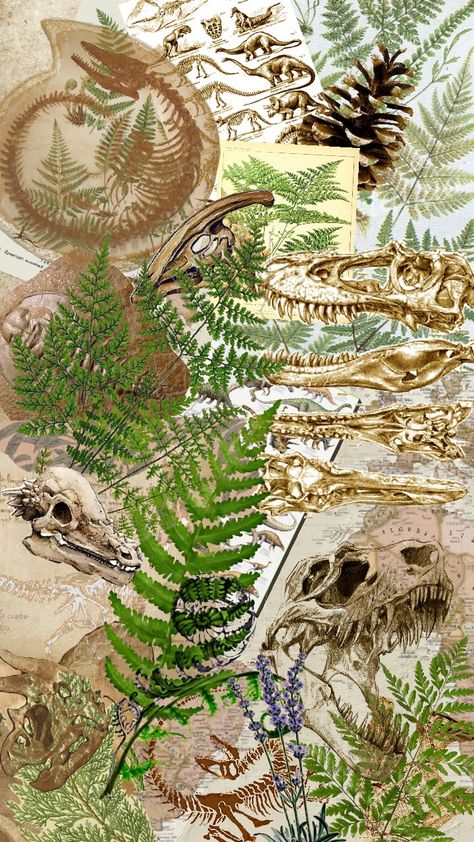 Fossils #fossils #dinosaurs #ferns #plant illustration #vintage #dinosaur skeleton Dinosaur Fossil Drawing, Dinosaurs Aesthetic, Plant Illustration Vintage, Dinosaur Fossil Art, Fossil Illustration, Ferns Plant, Dinosaur Aesthetic, Fossil Art, Vintage Dinosaur