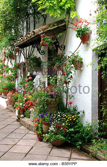 Landscaping With Roses, Christmas Garden Decorations, Small Courtyard Gardens, Aesthetic Garden, Garden Aesthetic, Garden Swing, House Plants Decor, Garden Accents, Front Yard Garden