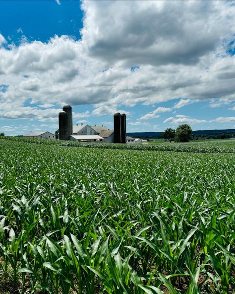 Small town, BIG Fun! #Ad   A weekend road trip to @discover_lancaster is the perfect Pennsylvania getaway.   Though small in size, the city is packed with tons to do.   From exploring the countryside roads by scooter with @strasburgscooters to living the city life and vibing on the rooftop at @theexchangelancaster to end the evening, Lancaster does not disappoint. Bring out your inner kid at @decadeslancaster; a retro arcade, bar/restaurant and bowling alley.   Foodies do not need to travel f... Weekend Road Trip, Arcade Bar, Bowling Alley, Retro Arcade, Lancaster Pa, Bar Restaurant, City Life, Small Town, Local Businesses