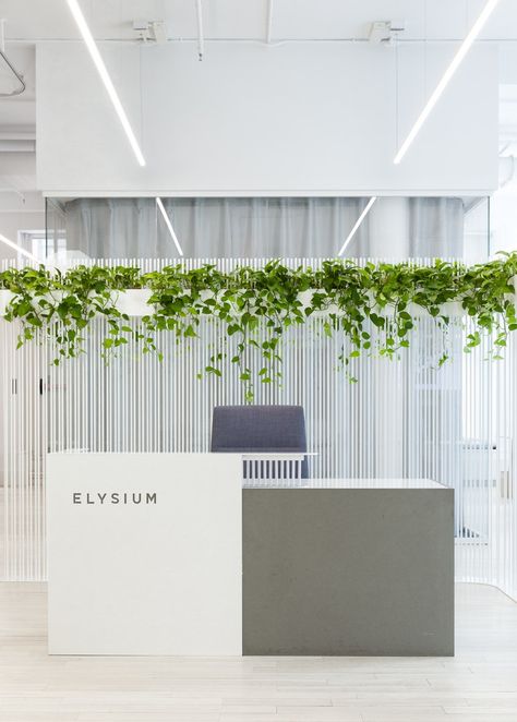 reception area with plant wall and lights reflected in glass Receptionist Desk Decor, Office Plants Ideas, Reception Back Wall, Office Plant Wall, Plant Wall Design, Receptionist Area, Check In Desk, Simple Reception Desk, Modern Office Reception