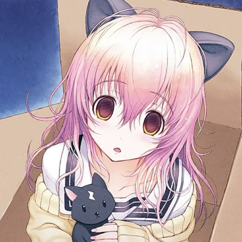 Aoi Mukou, Me And Her, Discord Server, Pink Hair, Profile Pictures, Leave Me, To Leave, Black Cat, Short Videos