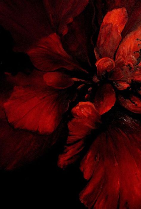 Tropical Painting, Dark Red Wallpaper, Dark Flowers, Nothing But Flowers, Flower Paintings, Orchid Care, Burgundy Flowers, Flower Phone Wallpaper, Red Wallpaper