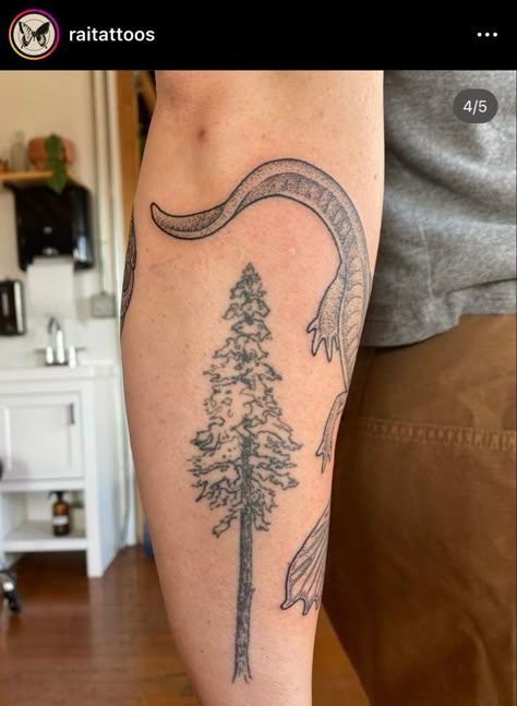 Washington State Tattoo, Rainforest Tattoo, Outdoor Tattoos, National Park Tattoo, Unique Nature Tattoos, Outdoorsy Tattoos, Granola Tattoo, Mountain Tattoos, Physics Tattoos