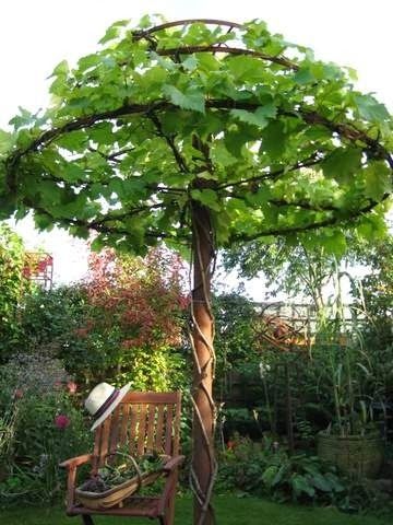 25 Easy DIY Sun Shade Ideas for your Beautiful Backyard Grape Vine Trellis, Garden Vines, Backyard Pergola, Landscape Designs, Pergola Plans, Diy Pergola, Vegetable Garden Design, Pergola Patio, Diy Landscaping