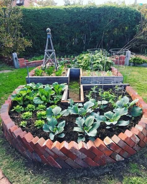 Brick Raised Garden Beds, Beautiful Raised Garden Beds, Architectural Trees, Harvest Garden, Keyhole Garden, Building A Raised Garden, Brick Garden, Veggie Patch, Diy Raised Garden