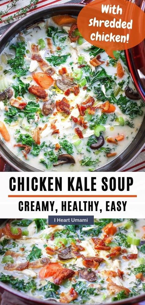 This Chicken Kale Soup uses cooked and shredded chicken or turkey and fresh kale greens is a healthy and delicious soup, plus easy to make! #chickenkalesoup #kalesoup #glutenfreerecipes #souprecipes #creamysoup #thanksgivingleftoverrecipes #holidayrecipes Kale Crockpot Soup, Creamy Chicken Kale Soup, Kale And Chicken Soup, Chicken Kale Soup Recipes, Broccoli Kale Soup, Chicken And Kale Recipes Dinners, Kale Soup Recipes Healthy, Soups With Kale, Recipes Using Kale