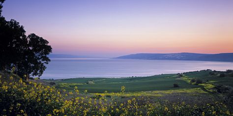 The Jordan River, The Sea Of Galilee, Jordan River, The Annunciation, Sea Of Galilee, At The Sea, Bible History, Gorgeous Gardens, Holy Land