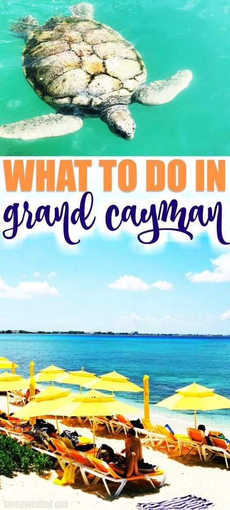 Grand Cayman Island - Everything to Do and See! - Grand Cayman Island is a popular cruise stop in the Caribbean and full of amazing things to do and see. Make sure to check our guide for great ideas! Western Caribbean Cruise, Travel Island, Grand Cayman Island, Cayman Island, Western Caribbean, George Town, Travel Vintage, Travel Things, Traveling Tips