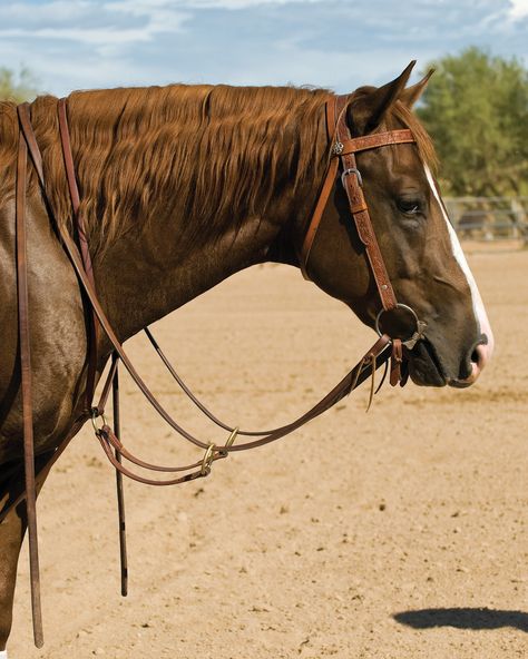 Working Cow Horse, Horse Reining, Equestrian Supplies, Bitless Bridle, Western Bridles, Horse Games, Western Tack, Horse Training Tips, Western Horse Tack