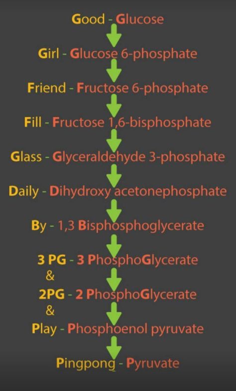 Biology Learning Tricks, Neet Short Tricks, Bio Neet Notes, Mnemonics For Neet, Glycolysis Mnemonic, Neet Biology Flashcards, Biology Neet Tricks, Neet Tips And Tricks, Ncert Biology Class 11 Notes