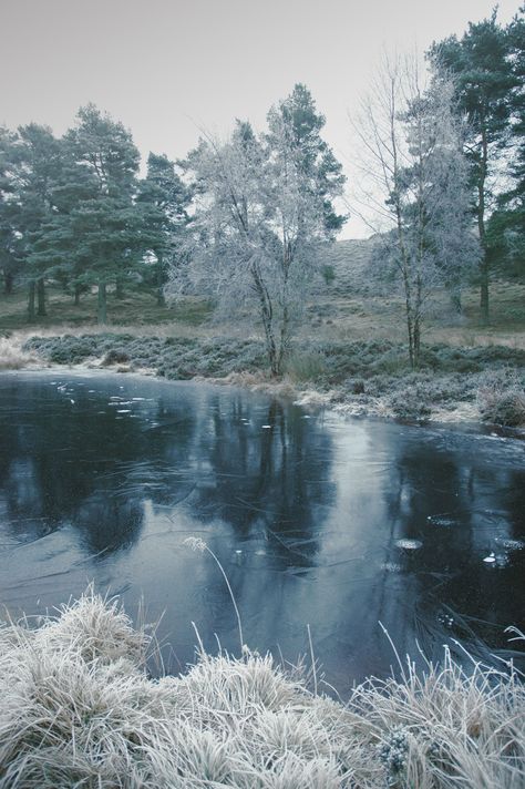 Frozen River Aesthetic, Frozen Pond Aesthetic, Kim Shui, Bleak Midwinter, Wonderland Aesthetic, Frozen River, Frozen Pond, Gacha Outfits, Black Tree