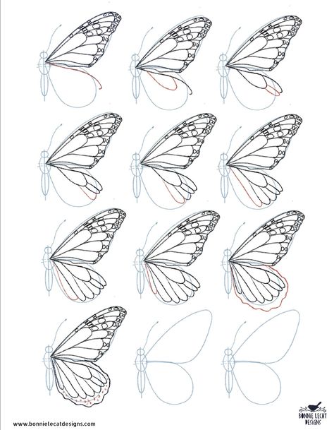 This is How to Draw a Butterfly in 10 Steps | Skillshare Blog Butterfly Realistic Drawing, Butterfly Realistic, Butterfly Drawing Outline, Paint A Butterfly, Butterfly Line Drawing, Side Drawing, Draw A Butterfly, Autocad Tutorial, About Butterfly