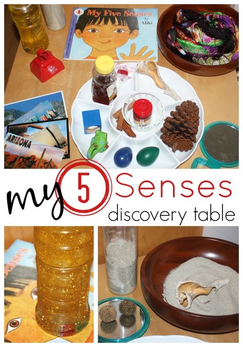 Learning About 5 Senses Activity Discovery Table from Little Bins for Little Hands 5 Sense Sensory Bin, Discovery Of The World Learning Centre, Discovery Centre Preschool, Five Senses Books Preschool, Preschool Senses, 5 Senses Activity, My 5 Senses, Senses Activity, 5 Senses Preschool