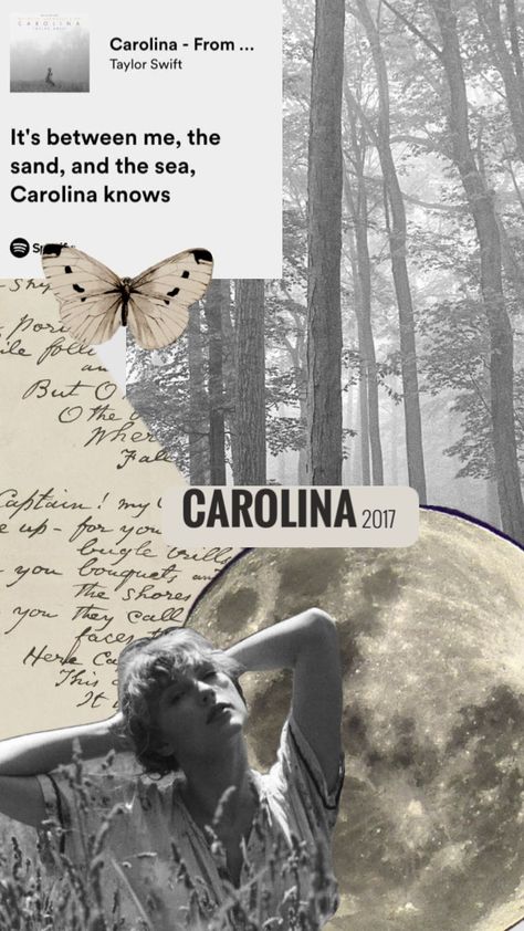 carolina aesthetic 🩶 #carolina #taylorswift #wherethecrawdadssing Carolina Taylor Swift, Carolina Core, Carolina Aesthetic, Taylor Swift Album, Taylor Swift Wallpaper, + Core + Aesthetic, Taylor Swift Lyrics, Poets, Your Aesthetic