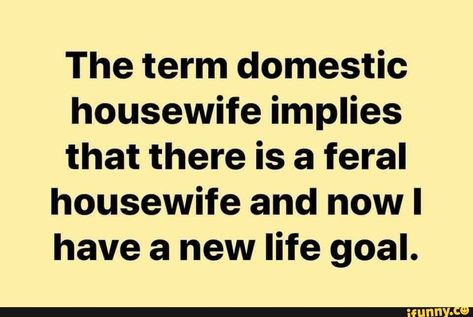 The term domestic housewife implies that there is a feral housewife and now have a new life goal. - iFunny :) Housewife Quotes, Healthy Holistic Living, Marriage Humor, We Made It, Sarcastic Humor, Makes Me Laugh, Bones Funny, Life Goals, Ha Ha