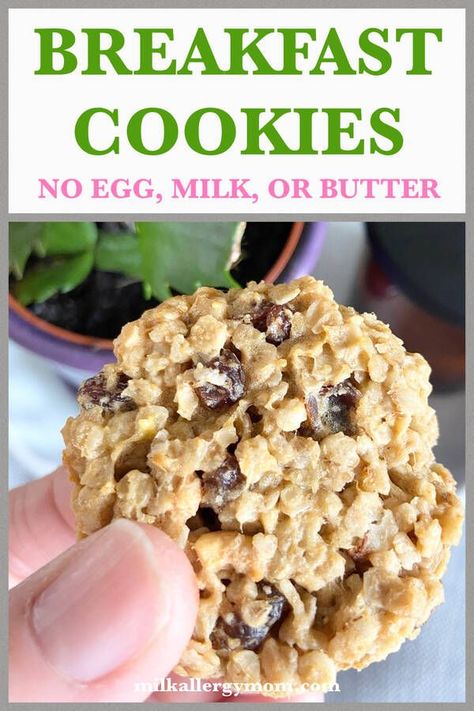 Wheat Free Snacks, Easy Breakfast Cookies, Cookies No Flour, Idea For Breakfast, Gluten Free Dairy Free Breakfast, Milk Allergy Mom, Egg Free Desserts, Egg Free Breakfast, Egg Free Cookies