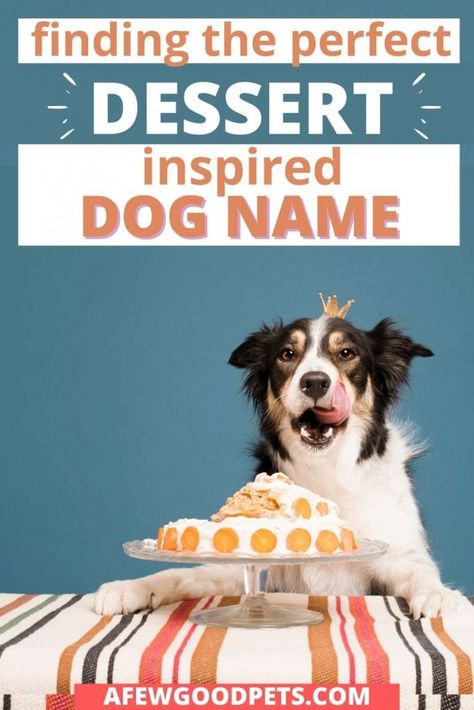 179+ Cute Dessert Dog Names – A Few Good Pets Food Dog Names, Korean Food Names, Small Dog Names, Great Dog Names, Dessert Names, Fruits For Dogs, Dog Names Unique, Cute Puppy Names, Girl Dog Names