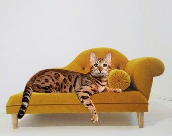 Cat Sofa, Lounge Chaise, Cat Couch, Pet Sofa Bed, Dog Couch, Cat Lounge, Pet Couches, Bed Dog, Dog Sofa Bed