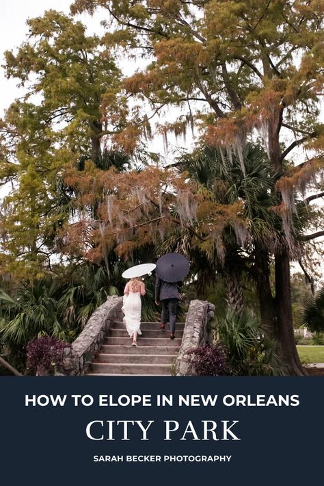 Elopement Ideas New Orleans, Eloping In New Orleans, Elopement In New Orleans, Elope New Orleans, New Orleans City Park Wedding, Nola Elopement, New Orleans City Park, City Park New Orleans, Park Wedding Ceremony