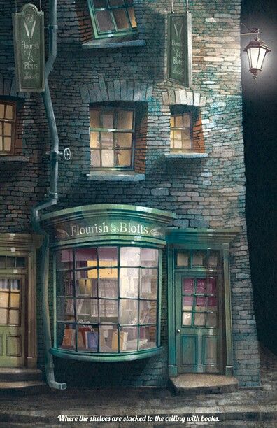 Flourish & Blotts Fanart Harry Potter, Poster Harry Potter, Harry Potter Poster, Harry Potter Illustrations, Harry Potter Magic, Potter Art, Diagon Alley, Harry Potter Wallpaper, Harry Potter Books