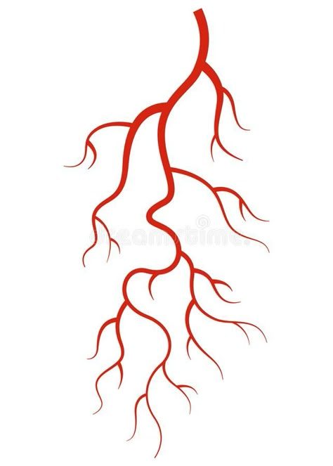 How To Draw Veins, Veins Illustration, Heart Veins, Red Silhouette, Vector Wallpaper, Wallpaper Icon, Line Vector, Art Nails, Watercolor Texture